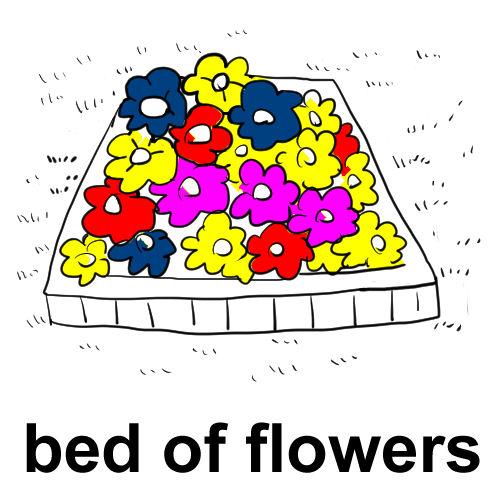 bed of flowers