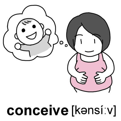 conceiveイラスト