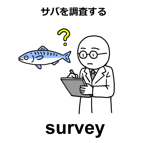 surveyのイラスト