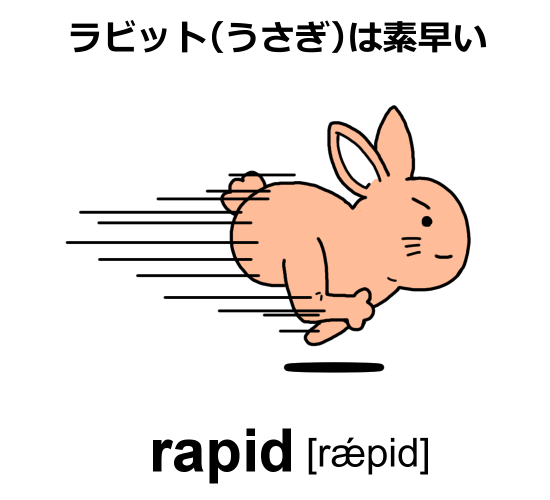 rapid語呂合わせ：ラビット（うさぎ）は素早い