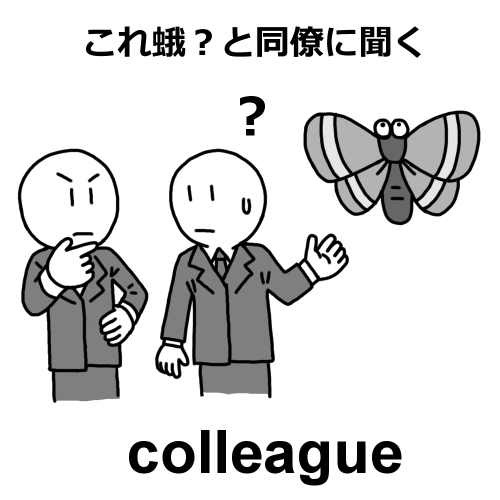 colleagueのイラスト