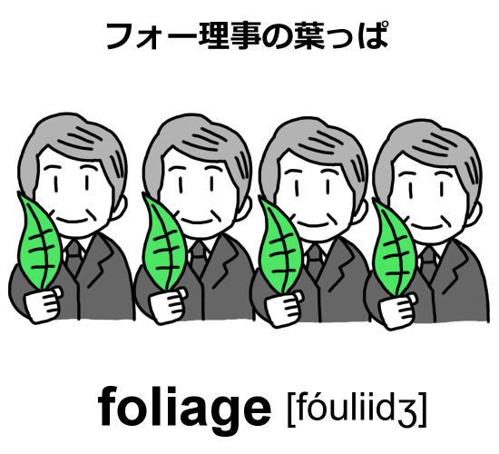 foliageのイラスト