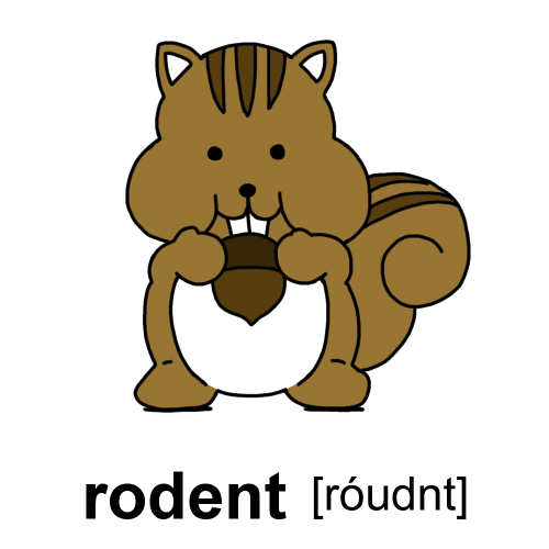 rodentイラスト